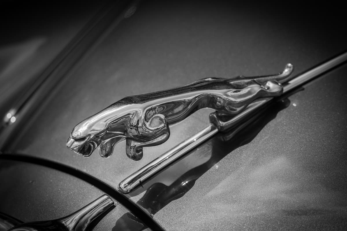 Vehicle Transport Process